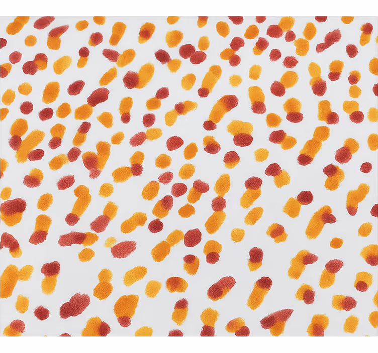 Oransseja ja punaisia pisteitä teini-ikäisen rullaverho - Tenstickers