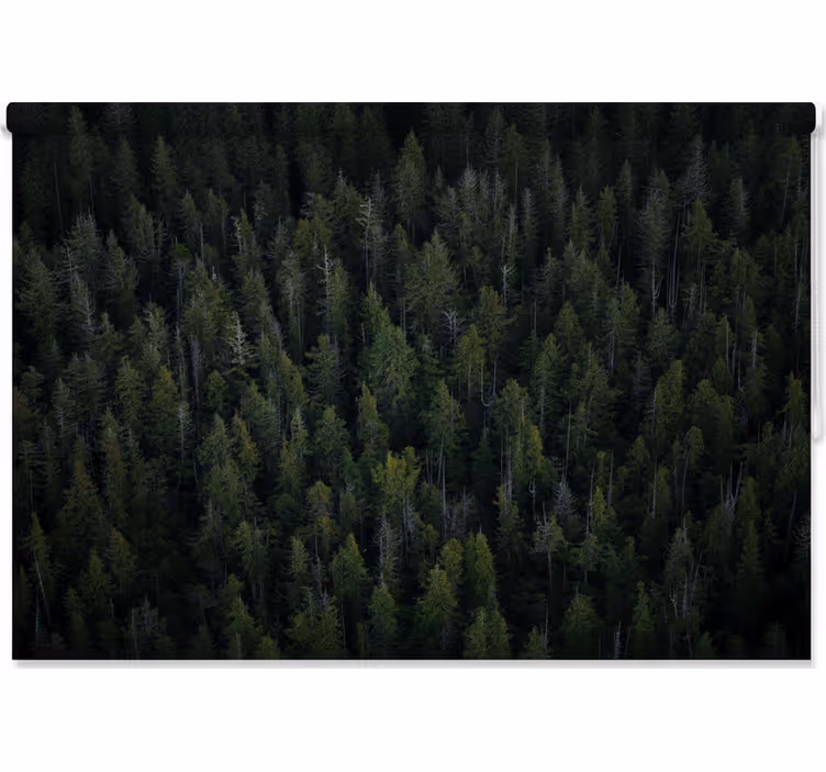 Syvällinen metsäkuvio rullaverho - Tenstickers