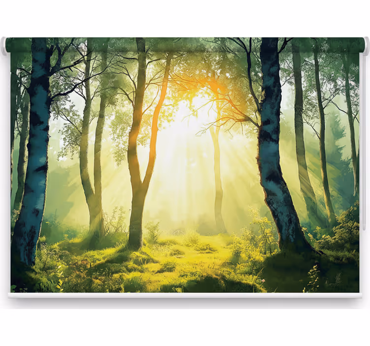 Auringonvalossa kylpevä koivuverho - Tenstickers
