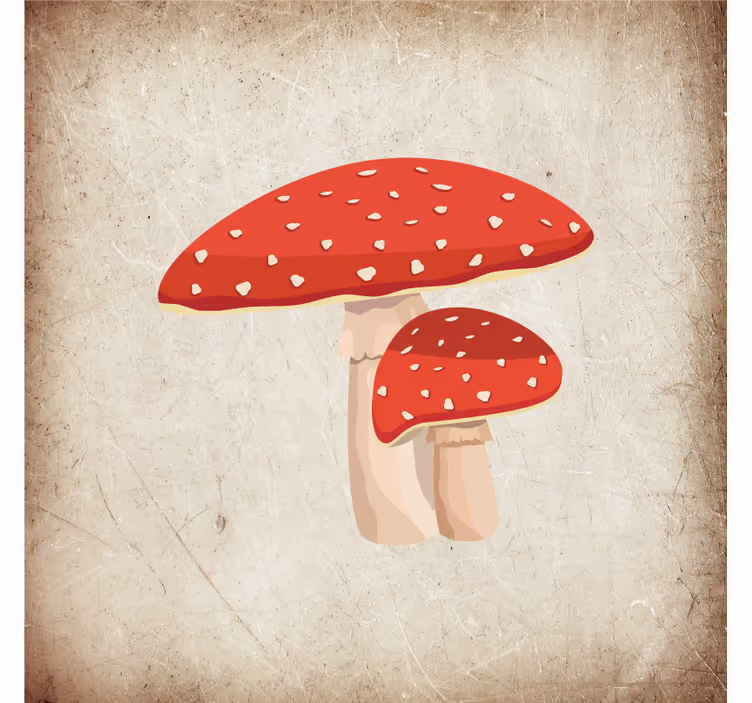 Amanita-sienikuvio rullaverho keittiöön - Tenstickers