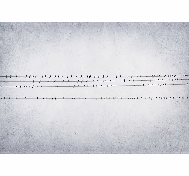 Lintujen konsertti rullaverhossa - Tenstickers