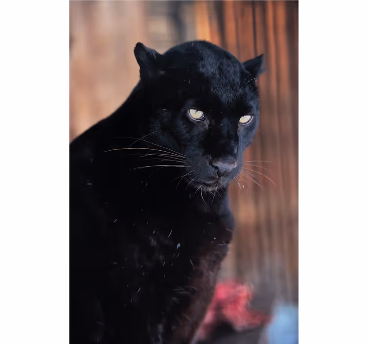 Leopardin vartioiva rullaverho olohuoneeseen - Tenstickers