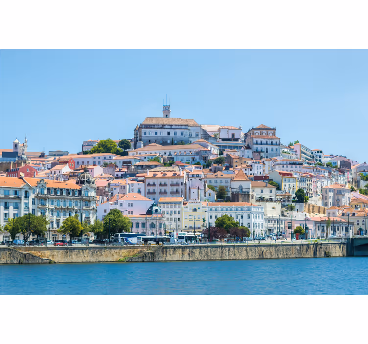 Coimbra olohuoneen rullaverho - Tenstickers