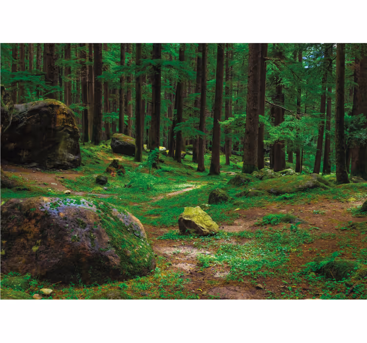 Vihreä metsä puineen olohuoneen rullaverho - Tenstickers