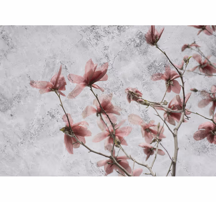Elegantti glamourtyyli magnolia-kuosisessa rullaverhossa - Tenstickers