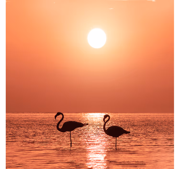 Kaunis flamingo auringonlaskussa olohuoneen rullaverho - Tenstickers