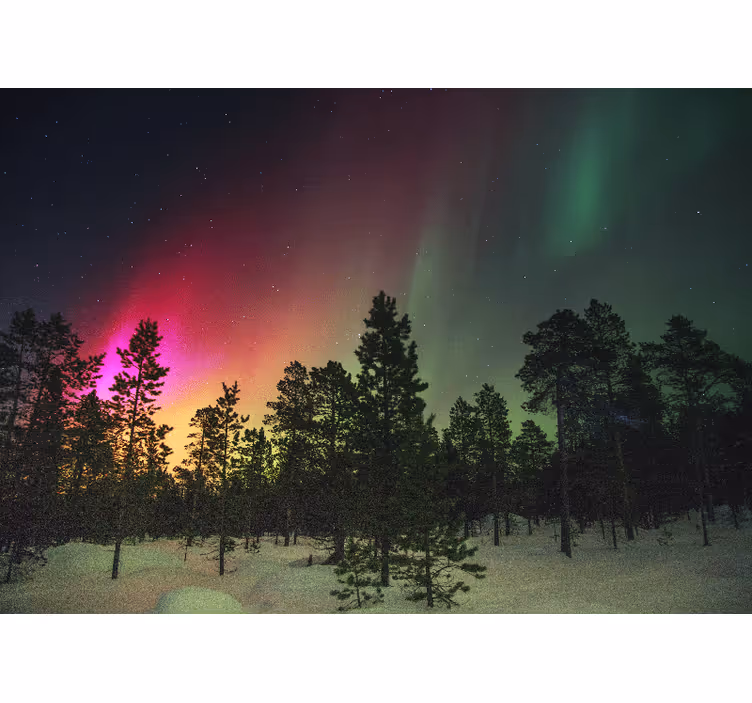 Pohjoisnavan valot puiden ylle olohuoneen rullaverho - Tenstickers