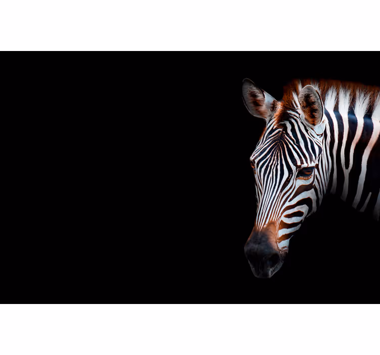 Zebra kuvasto olohuoneen rullaverho - Tenstickers