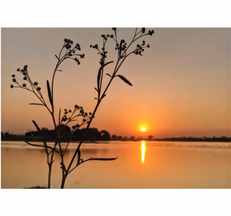 Olohuoneen rullaverhojärven auringonlasku - Tenstickers