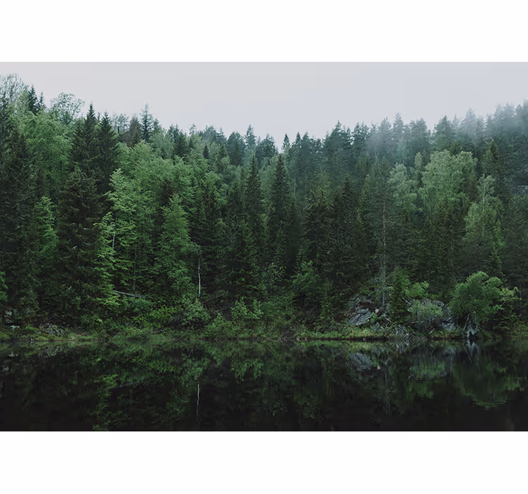 Metsä järven rannalla olohuoneen rullaverho - Tenstickers