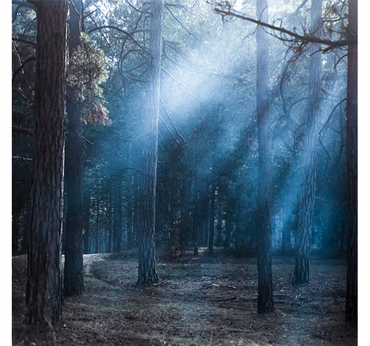 Luonnon hämärä metsässä olohuoneen rullaverho - Tenstickers