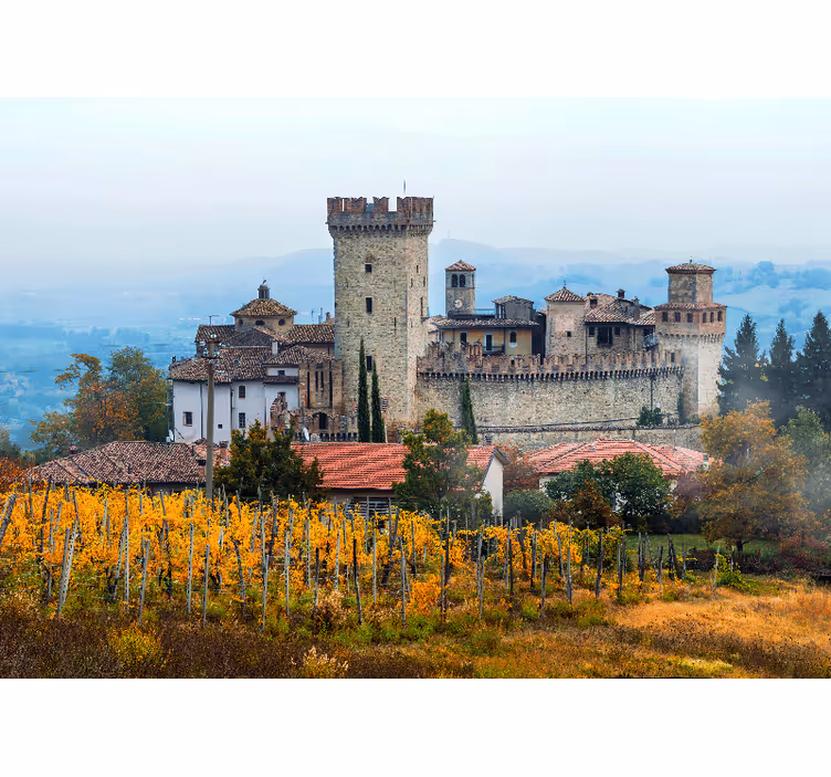 Emilia-romagnan kauniit viinitarhat rullaverho - Tenstickers