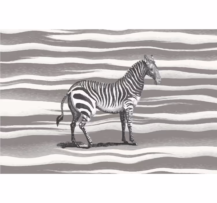 Vintage zebra kuvitus harmaa rullaverho - Tenstickers