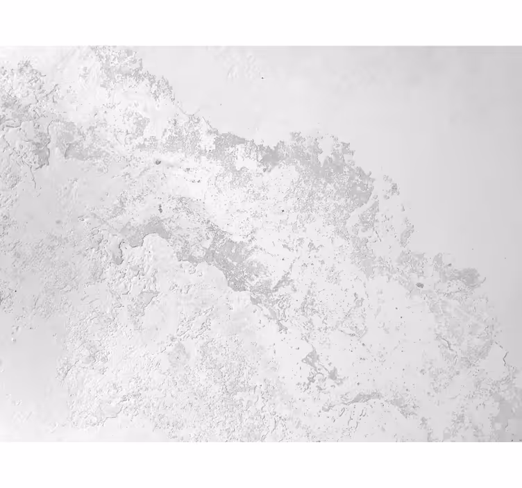 Harmaa rullaverho pantone-tasolla - Tenstickers