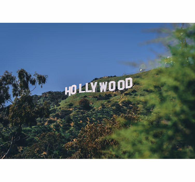 Hollywoodin kyltti makuuhuoneen rullaverho - Tenstickers