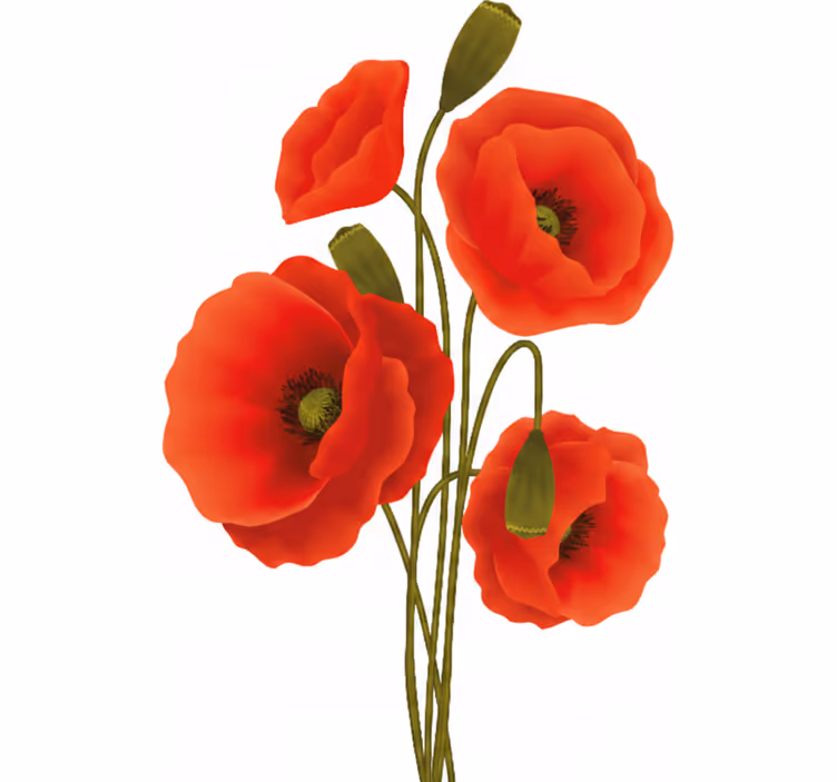 Poppykukallinenrullaverho - Tenstickers