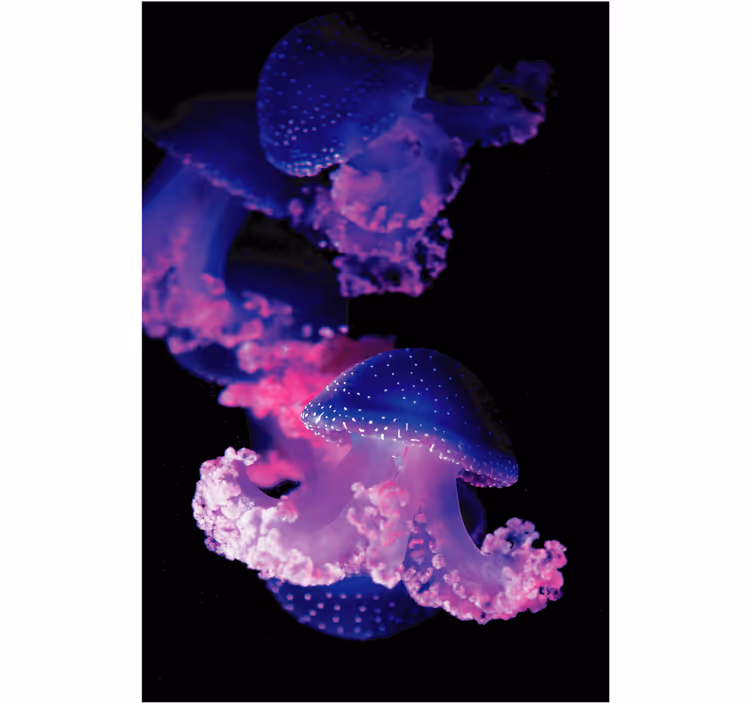 Purppura meduusa kylpyhuoneen rullaverho - Tenstickers