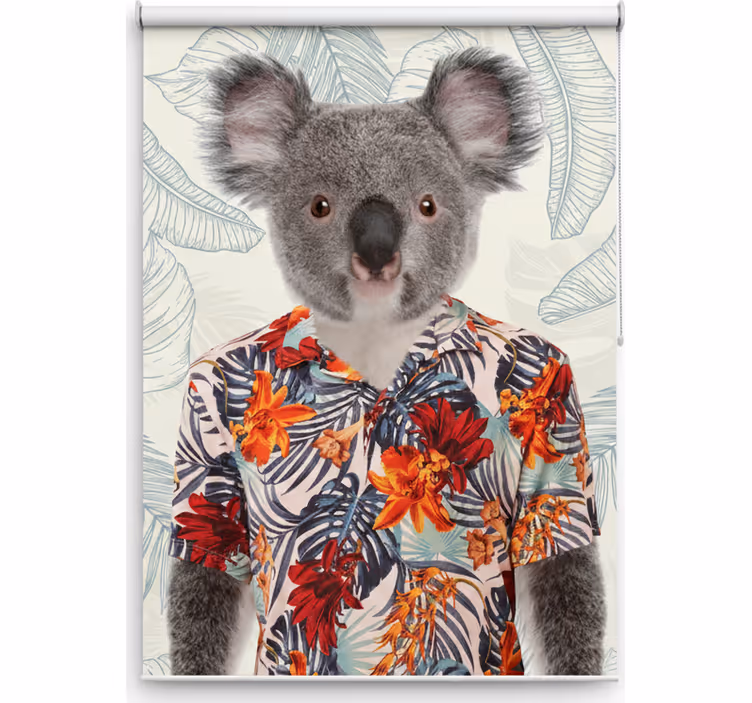 Teini-ikäisen rullaverhon tyylikäs koala - Tenstickers