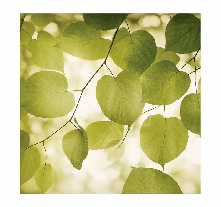 200 cm kukkalehtikuvioinen makuuhuoneen rullaverho - Tenstickers