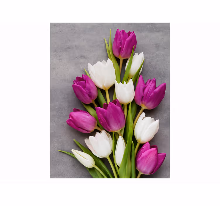Violetti rullaverho tulppaanit todelliset - Tenstickers
