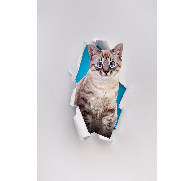 Kissa eri eläin rullaverho - Tenstickers