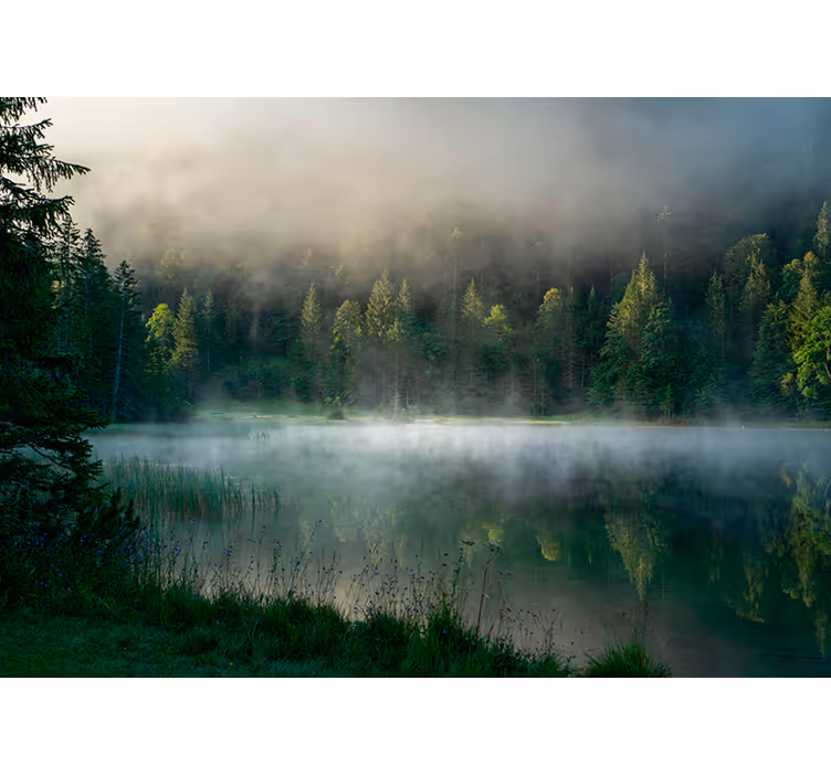Sumuinen metsäheijastus puukuviollinen rullaverho - Tenstickers