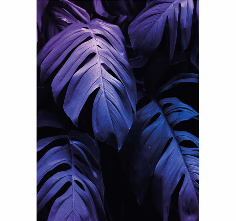 Monstera deliciosa lehdet kukat ja kasvit rullaverho - Tenstickers