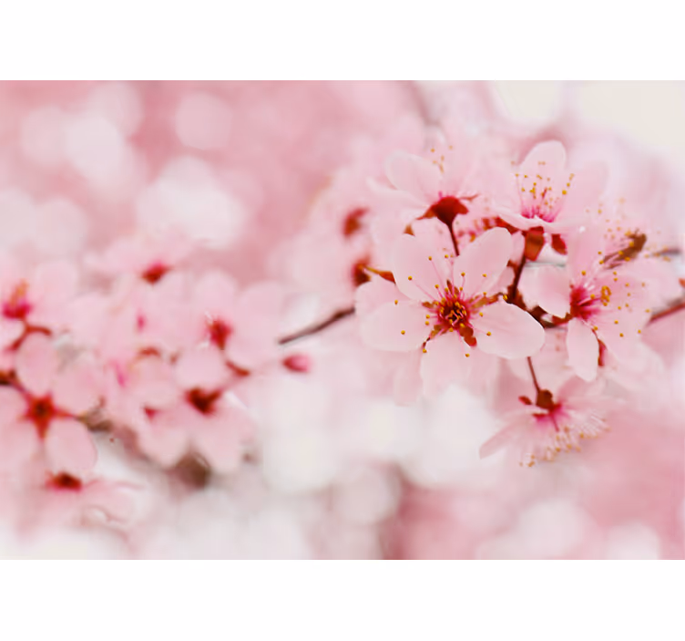 Pink bloom valokuvaus taide kukka rullaverhot - Tenstickers
