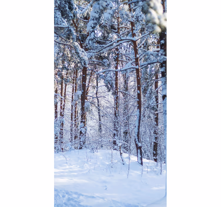 Valkoinen metsä suurilla puilla rullaverho - Tenstickers