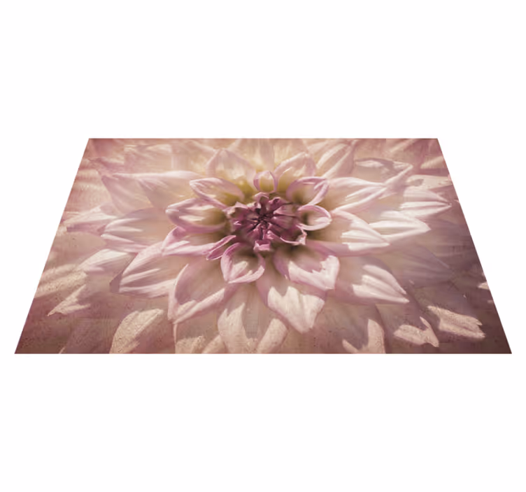 Vaaleanpunaiset dahlia vinyylilevyt - Tenstickers