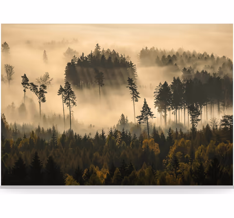 Ethereal aamuusva metsä valokuvatapetti - Tenstickers