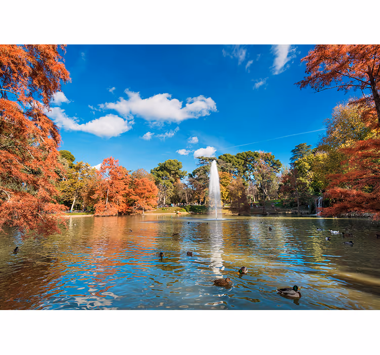 Retiro park syksyn kaupungin valokuvatapetti - Tenstickers