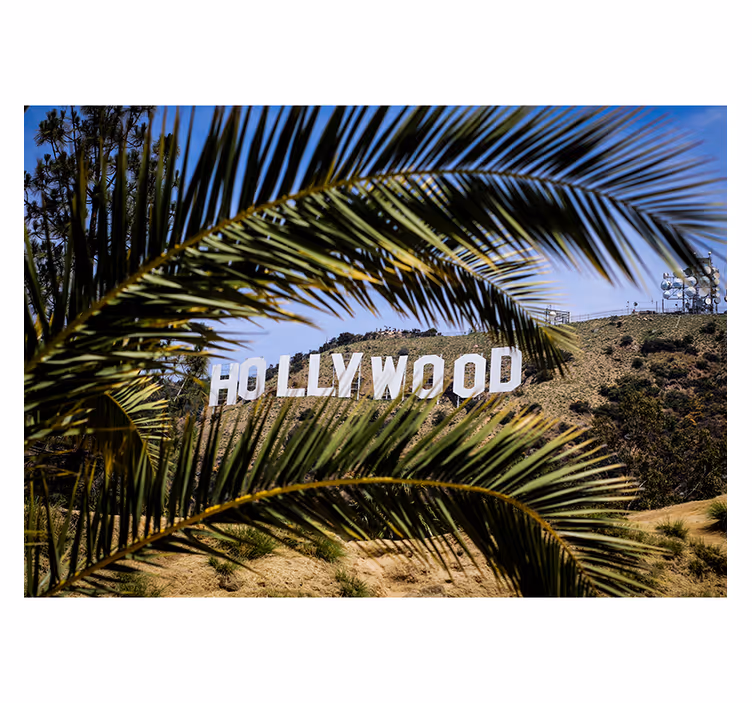 Hollywood merkki ja puun valokuvatapetti - Tenstickers