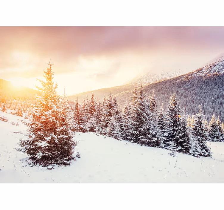 Kaunis luminen metsä auringonlasku valokuvatapetti - Tenstickers