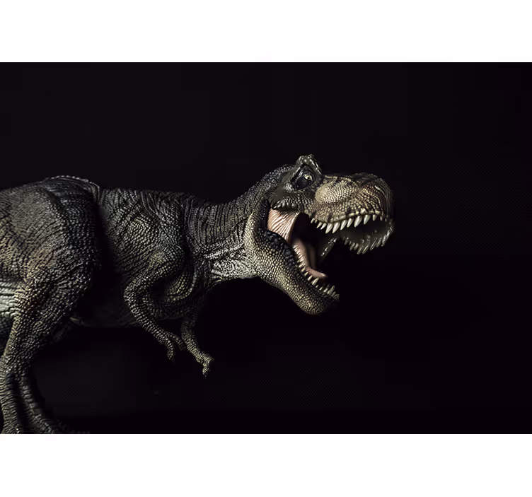 Dinosaurus t-rex kävely olohuone valokuvatapetti - Tenstickers
