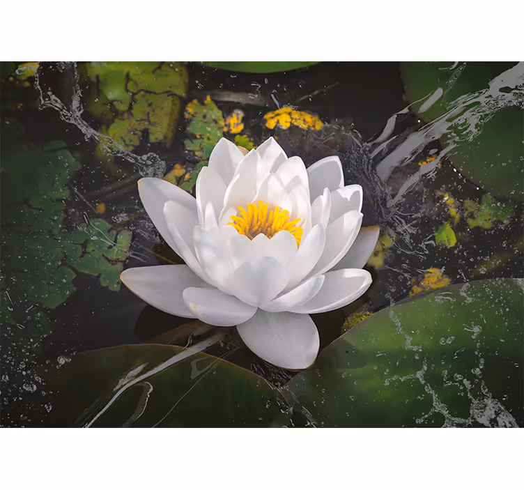 Lotus-kukkien rauhoittava valokuvatapetti - Tenstickers