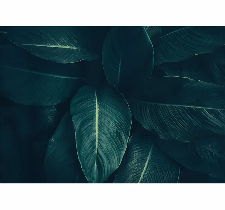 Lush leafy texture luonnonvihreä valokuvatapetti - Tenstickers