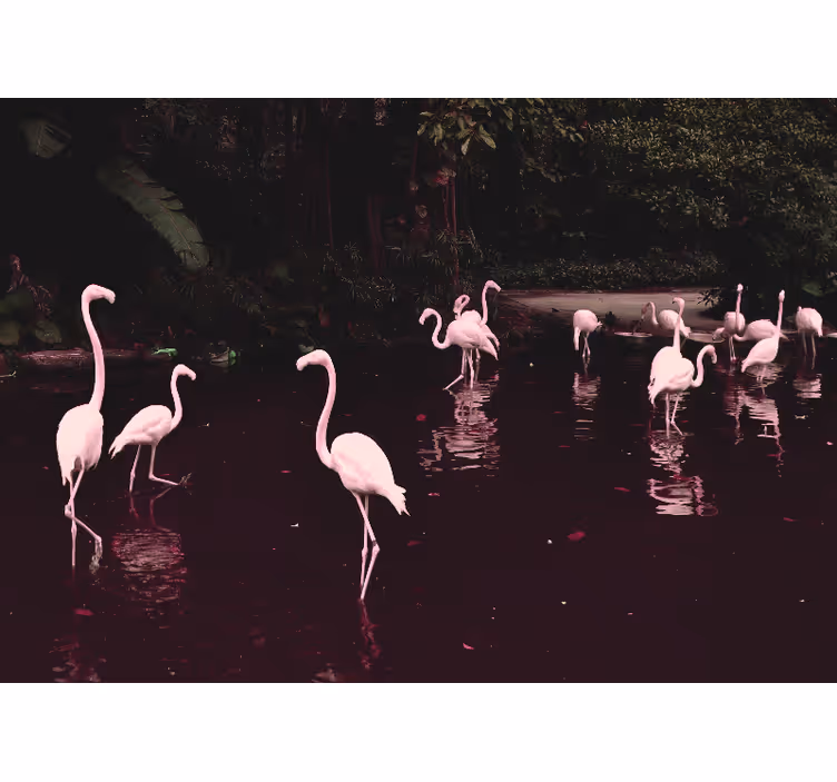 Elegantit flamingot kokoontuvat toimiston valokuvatapetti - Tenstickers