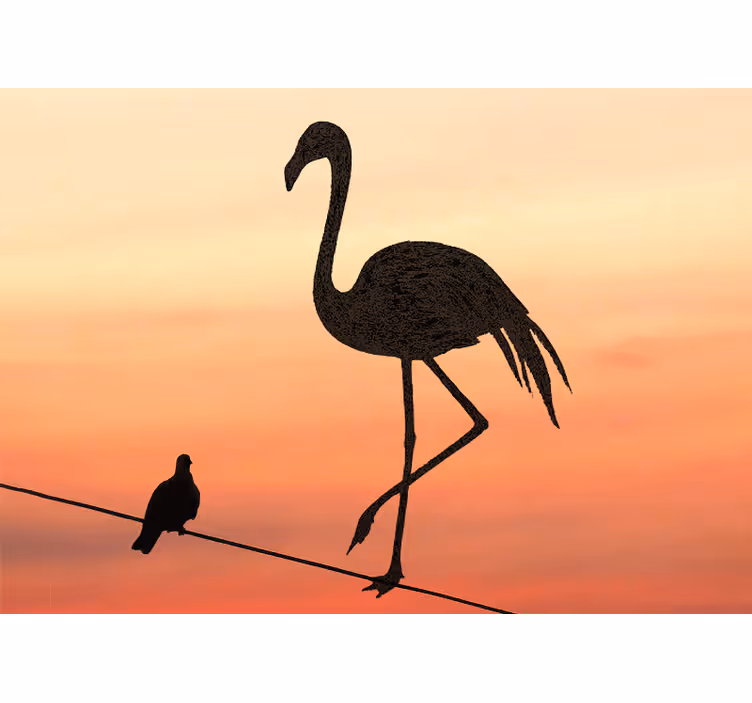 Siro flamingo-auringonlasku eläin valokuvatapetti - Tenstickers
