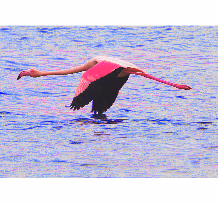 Hieno ammuttu flamingo veteen olohuone valokuvatapetti - Tenstickers