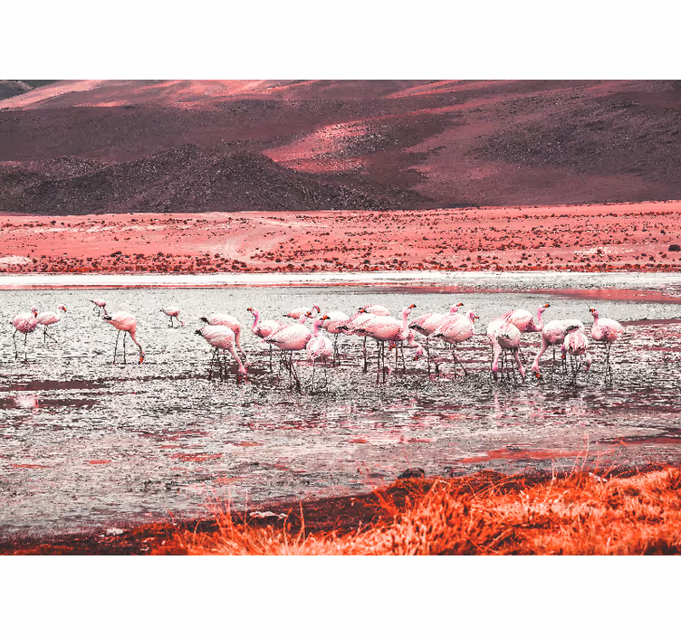 Flamingojen elinympäristö valokuvatapetti - Tenstickers