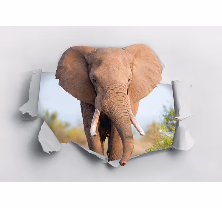 Norsu murtaa seinän 3d valokuvatapetti - Tenstickers