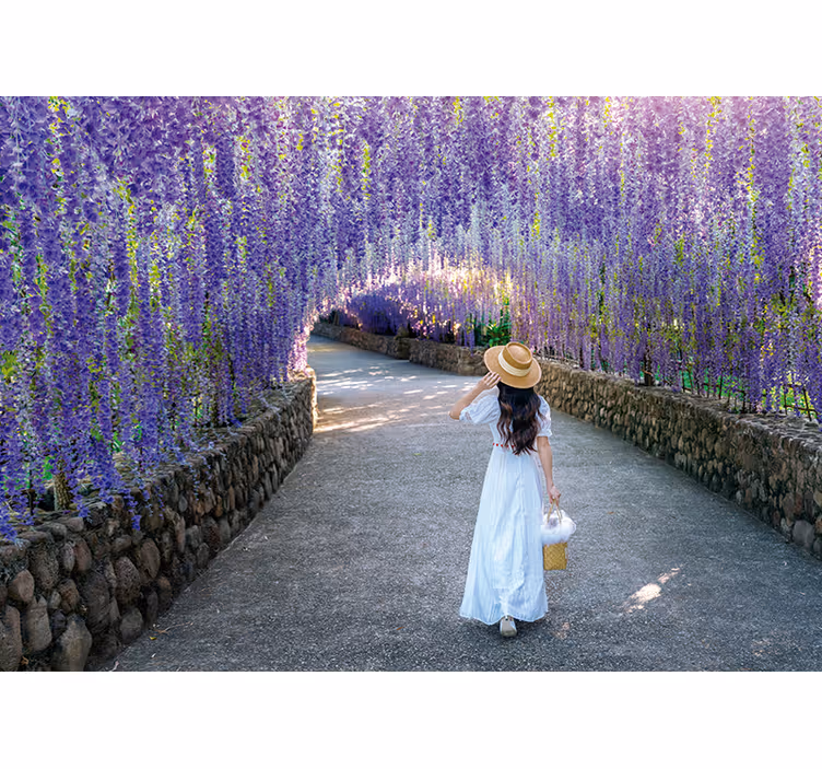 Kukkapolku wisteria valokuvatapetti - Tenstickers