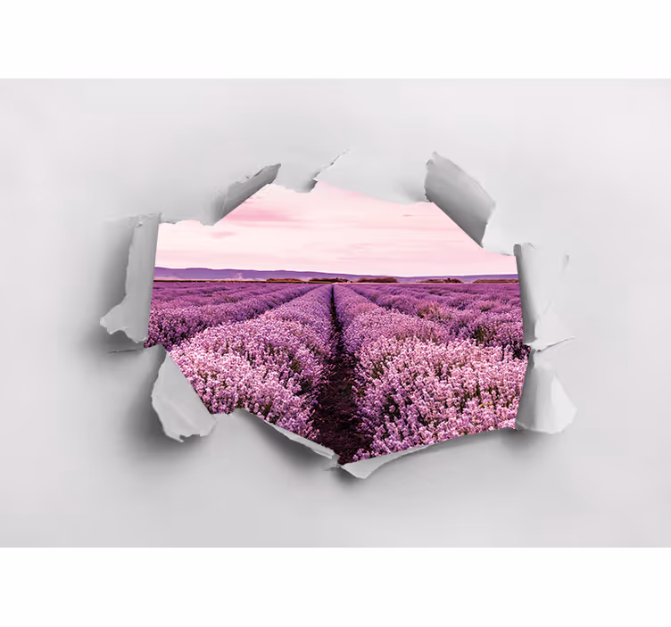 Laventelipellon näkymä kukka valokuvatapetti - Tenstickers
