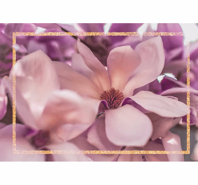 Magnoliankukka lähikuva valokuvatapetti - Tenstickers