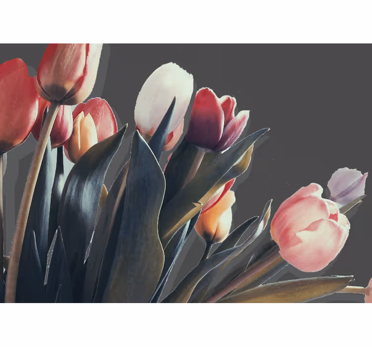 Vaaleanpunaiset tulppaanit mustalla taustalla tulppaani valokuvat - Tenstickers