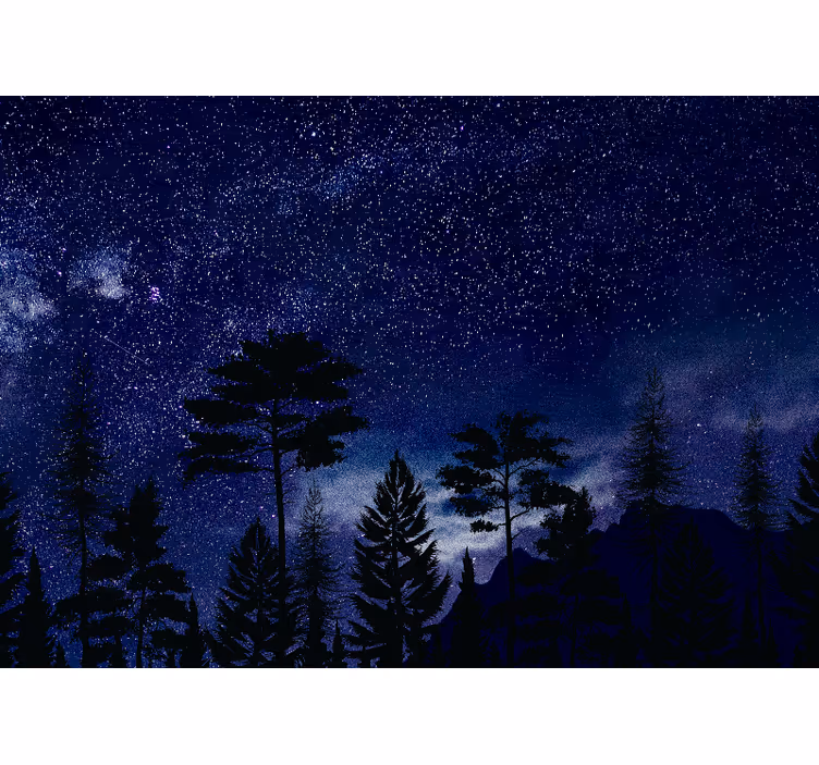 Tähtikirkas metsäsilhuetti taivas valokuvatapetti - Tenstickers