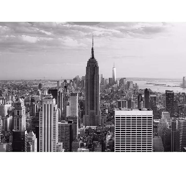 Panoraama mustavalkoinen new york new york valokuvatapetti - Tenstickers