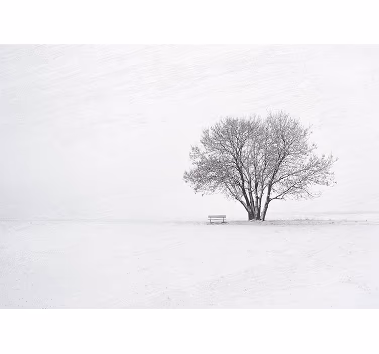 Yksinäinen luminen puu luonto valokuvatapetti - Tenstickers