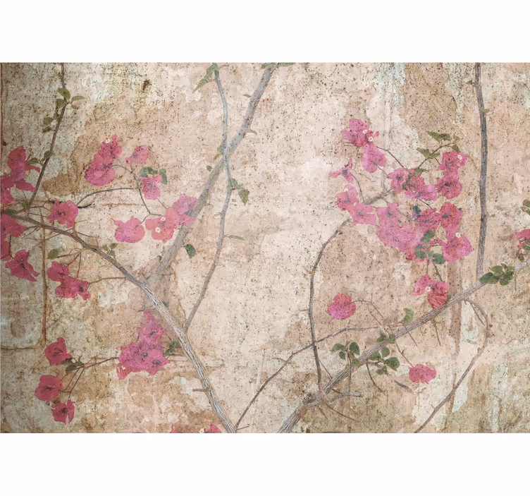 Vaaleanpunaiset bougainvillea-kukat valokuvatapetti - Tenstickers